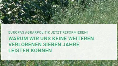 Unbenannt.JPG